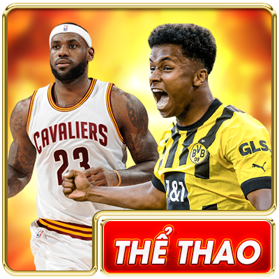 Thể thao new88 ok